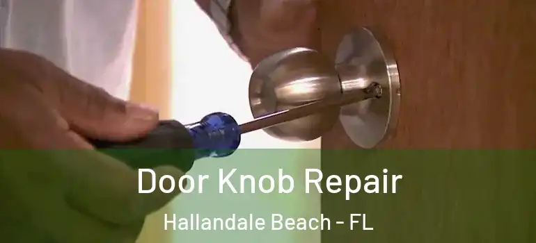  Door Knob Repair Hallandale Beach - FL