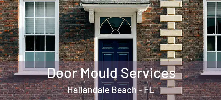  Door Mould Services Hallandale Beach - FL