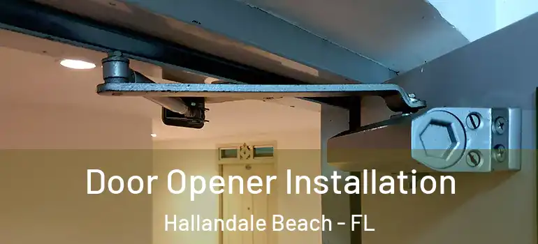  Door Opener Installation Hallandale Beach - FL