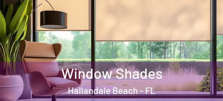  Window Shades Hallandale Beach - FL